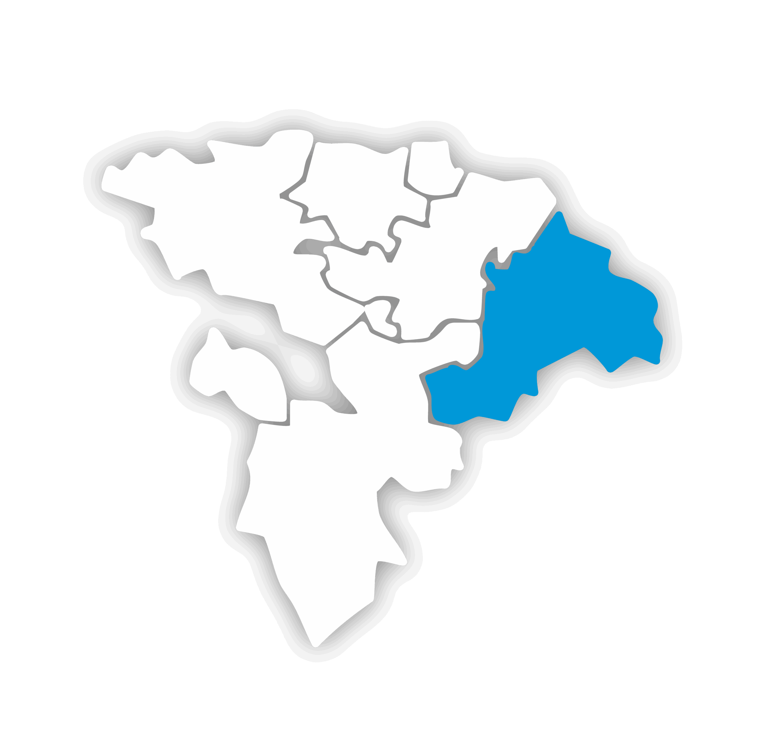 raszyn internet