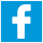 Facebook-Skynet